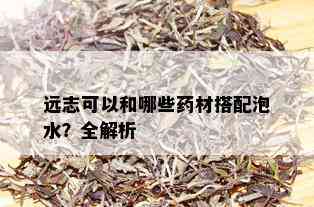 远志可以和哪些药材搭配泡水？全解析