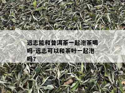 远志能和普洱茶一起泡茶喝吗-远志可以和茶叶一起泡吗?