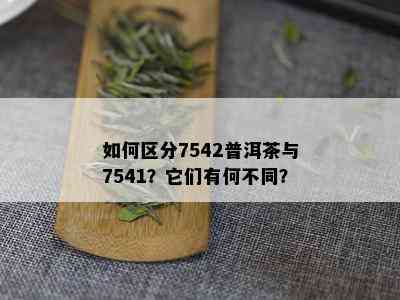 如何区分7542普洱茶与7541？它们有何不同？