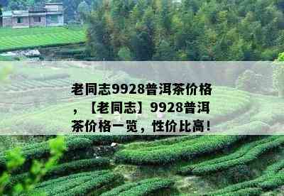 老同志9928普洱茶价格，【老同志】9928普洱茶价格一览，性价比高！