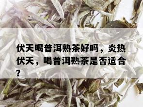 伏天喝普洱熟茶好吗，炎热伏天，喝普洱熟茶是否适合？