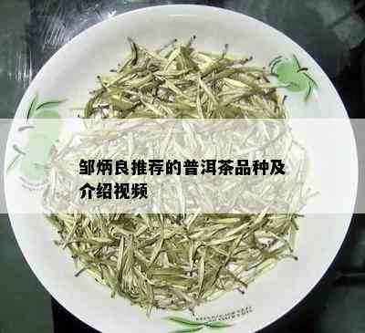 邹炳良推荐的普洱茶品种及介绍视频