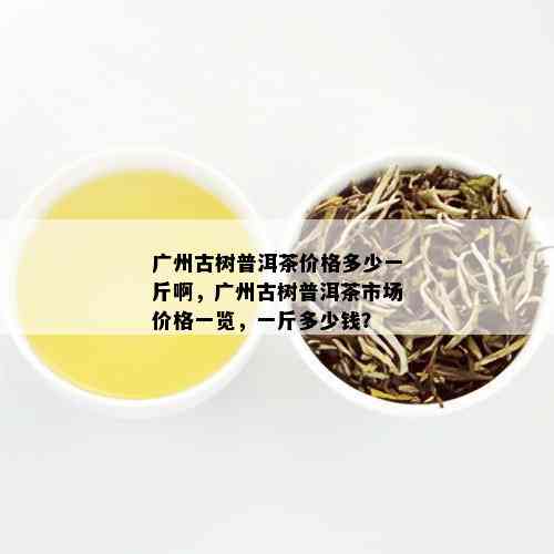 广州古树普洱茶价格多少一斤啊，广州古树普洱茶市场价格一览，一斤多少钱？