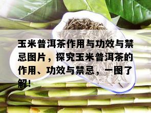 玉米普洱茶作用与功效与禁忌图片，探究玉米普洱茶的作用、功效与禁忌，一图了解！