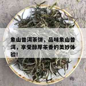 象山普洱茶饼，品味象山普洱，享受醇厚茶香的美妙体验！