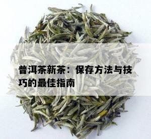 普洱茶新茶：保存方法与技巧的更佳指南