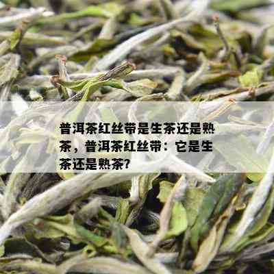 普洱茶红丝带是生茶还是熟茶，普洱茶红丝带：它是生茶还是熟茶？