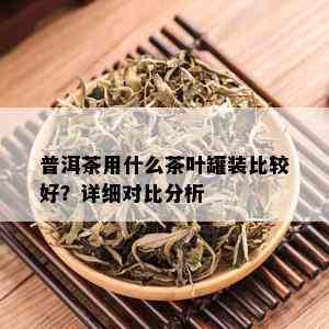 普洱茶用什么茶叶罐装比较好？详细对比分析