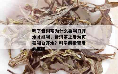 喝了普洱茶为什么要喝白开水才能喝，普洱茶之后为何要喝白开水？科学解析背后的原因