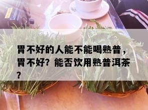 胃不好的人能不能喝熟普，胃不好？能否饮用熟普洱茶？