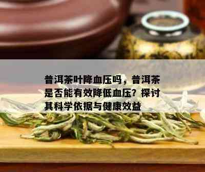 普洱茶叶降血压吗，普洱茶是否能有效降低血压？探讨其科学依据与健康效益