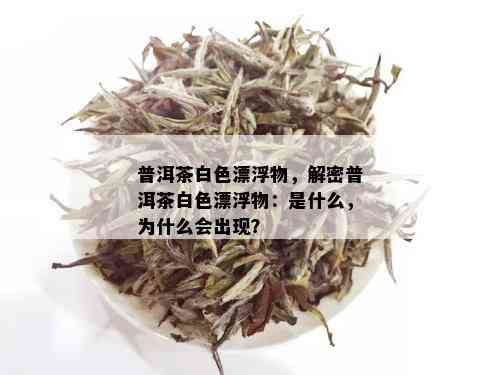 普洱茶白色漂浮物，解密普洱茶白色漂浮物：是什么，为什么会出现？