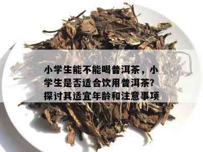 小学生能不能喝普洱茶，小学生是否适合饮用普洱茶？探讨其适宜年龄和注意事项