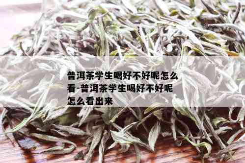 普洱茶学生喝好不好呢怎么看-普洱茶学生喝好不好呢怎么看出来