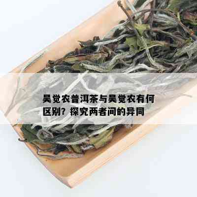 吴觉农普洱茶与吴觉农有何区别？探究两者间的异同