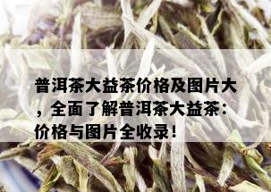 普洱茶大益茶价格及图片大，全面了解普洱茶大益茶：价格与图片全收录！