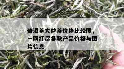 普洱茶大益茶价格比较图，一网打尽各款产品价格与图片信息！