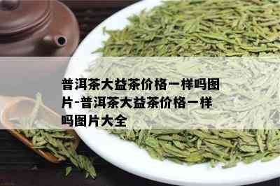 普洱茶大益茶价格一样吗图片-普洱茶大益茶价格一样吗图片大全