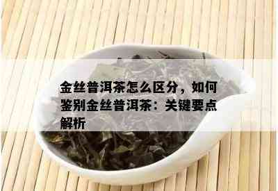 金丝普洱茶怎么区分，如何鉴别金丝普洱茶：关键要点解析