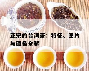 正宗的普洱茶：特征、图片与颜色全解