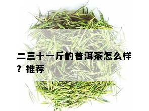 二三十一斤的普洱茶怎么样？推荐