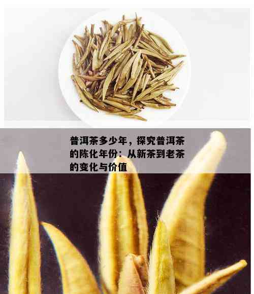 普洱茶多少年，探究普洱茶的陈化年份：从新茶到老茶的变化与价值