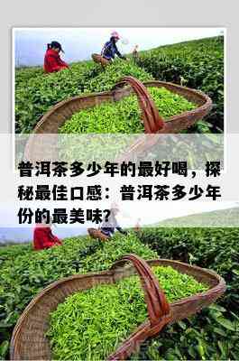 普洱茶多少年的更好喝，探秘更佳口感：普洱茶多少年份的最美味？