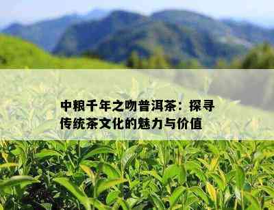 中粮千年之吻普洱茶：探寻传统茶文化的魅力与价值