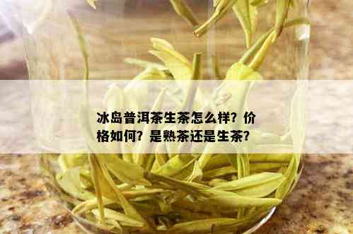 冰岛普洱茶生茶怎么样？价格如何？是熟茶还是生茶？