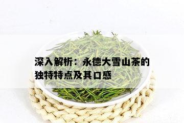 深入解析：永德大雪山茶的独特特点及其口感