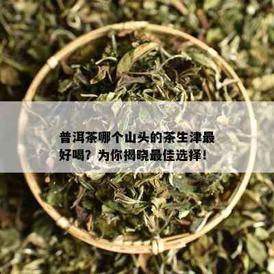 普洱茶哪个山头的茶生津更好喝？为你揭晓更佳选择！