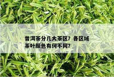 普洱茶分几大茶区？各区域茶叶颜色有何不同？