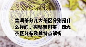 普洱茶分几大茶区分别是什么样的，探秘普洱茶：四大茶区分布及其特点解析