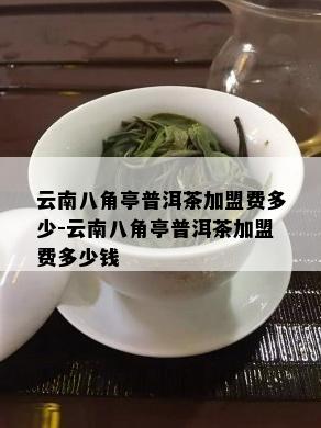 云南八角亭普洱茶加盟费多少-云南八角亭普洱茶加盟费多少钱