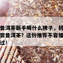 普洱茶新手喝什么牌子，初尝普洱茶？这份推荐不容错过！