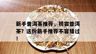 新手普洱茶推荐，初尝普洱茶？这份新手推荐不容错过！