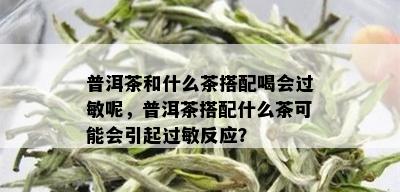 普洱茶和什么茶搭配喝会过敏呢，普洱茶搭配什么茶可能会引起过敏反应？