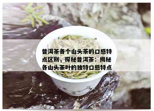 普洱茶各个山头茶的口感特点区别，探秘普洱茶：揭秘各山头茶叶的独特口感特点