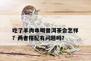 吃了羊肉串喝普洱茶会怎样？两者搭配有问题吗？