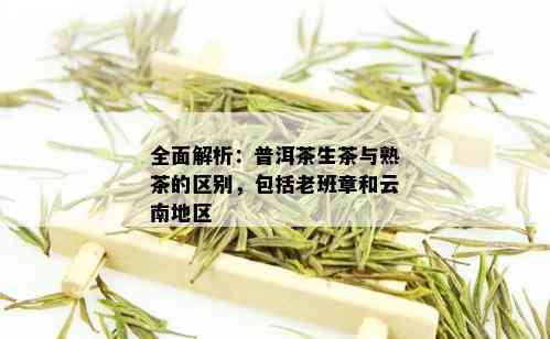 全面解析：普洱茶生茶与熟茶的区别，包括老班章和云南地区