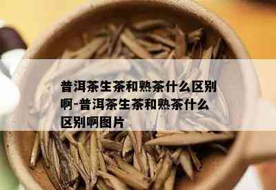 普洱茶生茶和熟茶什么区别啊-普洱茶生茶和熟茶什么区别啊图片