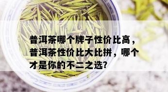 普洱茶哪个牌子性价比高，普洱茶性价比大比拼，哪个才是你的不二之选？