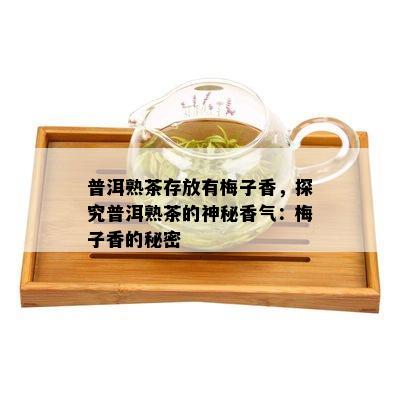 普洱熟茶存放有梅子香，探究普洱熟茶的神秘香气：梅子香的秘密