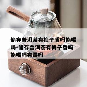 储存普洱茶有梅子香吗能喝吗-储存普洱茶有梅子香吗能喝吗有吗