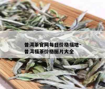 普洱茶官网每日价格福地-普洱福茶价格图片大全