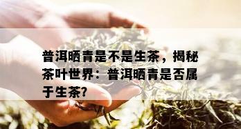 普洱晒青是不是生茶，揭秘茶叶世界：普洱晒青是否属于生茶？