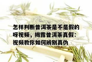 怎样判断普洱茶是不是假的呀视频，揭露普洱茶真假：视频教你如何辨别真伪