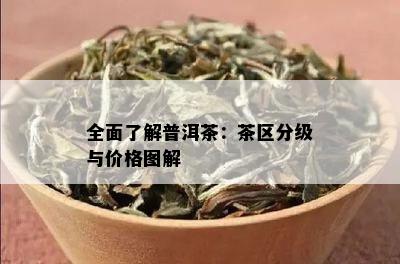 全面了解普洱茶：茶区分级与价格图解