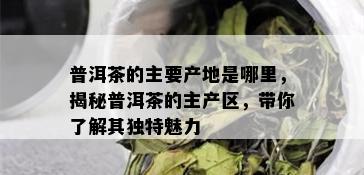 普洱茶的主要产地是哪里，揭秘普洱茶的主产区，带你了解其独特魅力