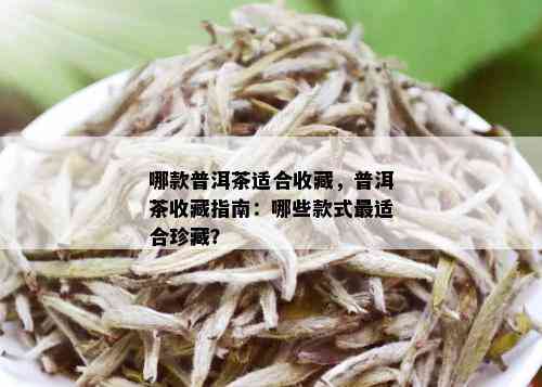 哪款普洱茶适合收藏，普洱茶收藏指南：哪些款式最适合珍藏？